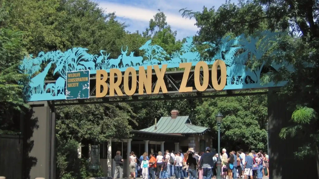 A crowd of people stands under the entrance sign for the Bronx Zoo, adorned with blue animal silhouettes and "Bronx Zoo" in large gold letters. Trees and foliage are visible in the background under a partly cloudy sky.