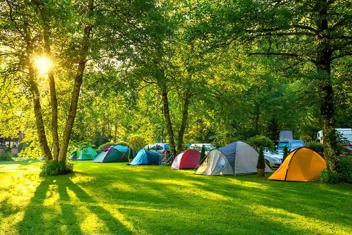 A scenic campsite with several colorful tents is set up under a canopy of lush green trees. Sunlight filters through the branches, casting dappled shadows on the grassy ground. The atmosphere is peaceful and inviting.
