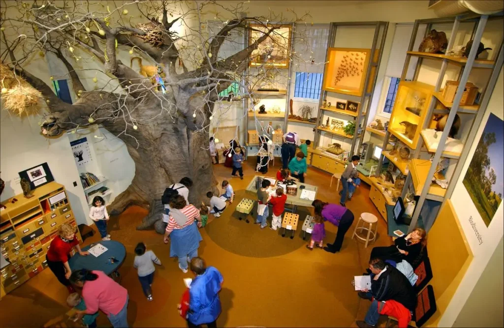 A vibrant Children's Museum of Manhattan features a large tree display, interactive exhibits, and various activities. Adults and children engage in hands-on learning around tables, examining items, and interacting with educational materials. Shelves showcase various artifacts.