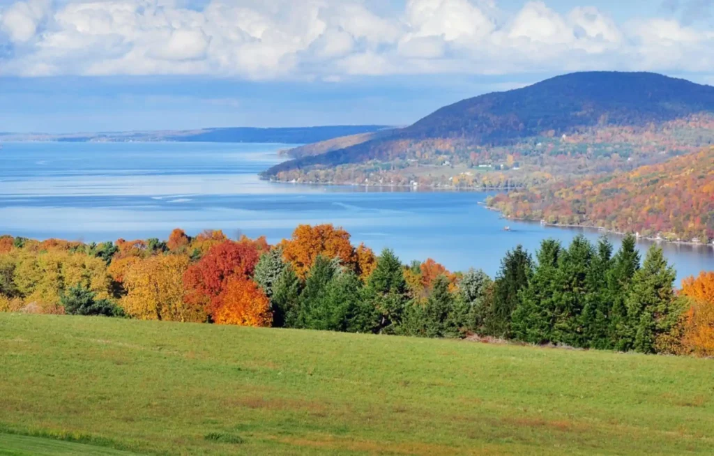 Show thumbnail preview Scenic view of a lush landscape featuring a large body of water bordered by hilly terrain, reminiscent of the Finger Lakes. The foreground showcases vibrant autumn foliage in hues of orange, red, and yellow, with verdant green grass leading to the lake under a partly cloudy sky.