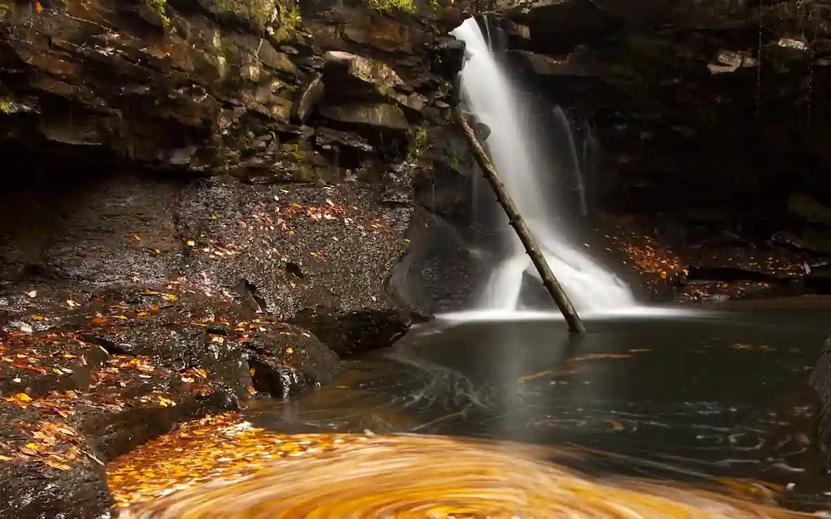 A serene waterfall cascades down a rocky cliff, surrounded by lush greenery. Fallen leaves create a vibrant tapestry of colors in the pool below, where the water swirls in a mesmerizing pattern. A fallen tree trunk adds a touch of natural decay to the scene, creating a sense of peace and tranquility.