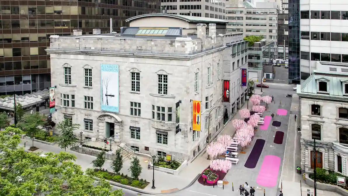 Aerial view of a historic stone building in a city with tall modern buildings in the background. The street beside the building is adorned with pink cherry blossom trees and features vibrant pink, purple, and black pathways, creating a colorful urban scene.
