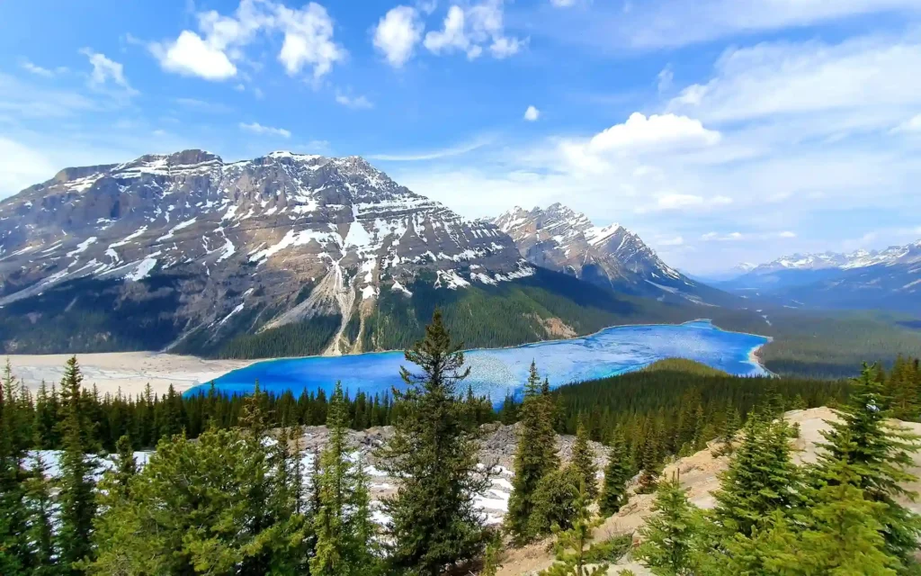 Peyto Lake Alberta Canada