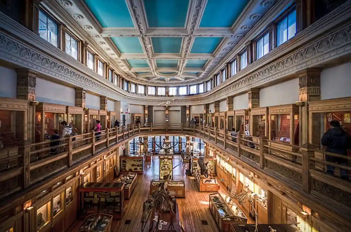 A two-story museum interior with an ornate blue ceiling and intricate architectural details. Glass display cases line the walls on both levels, showcasing various exhibits. Visitors are seen walking and observing the artifacts on both floors.
