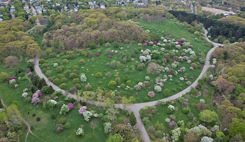 Arnold Arboretum