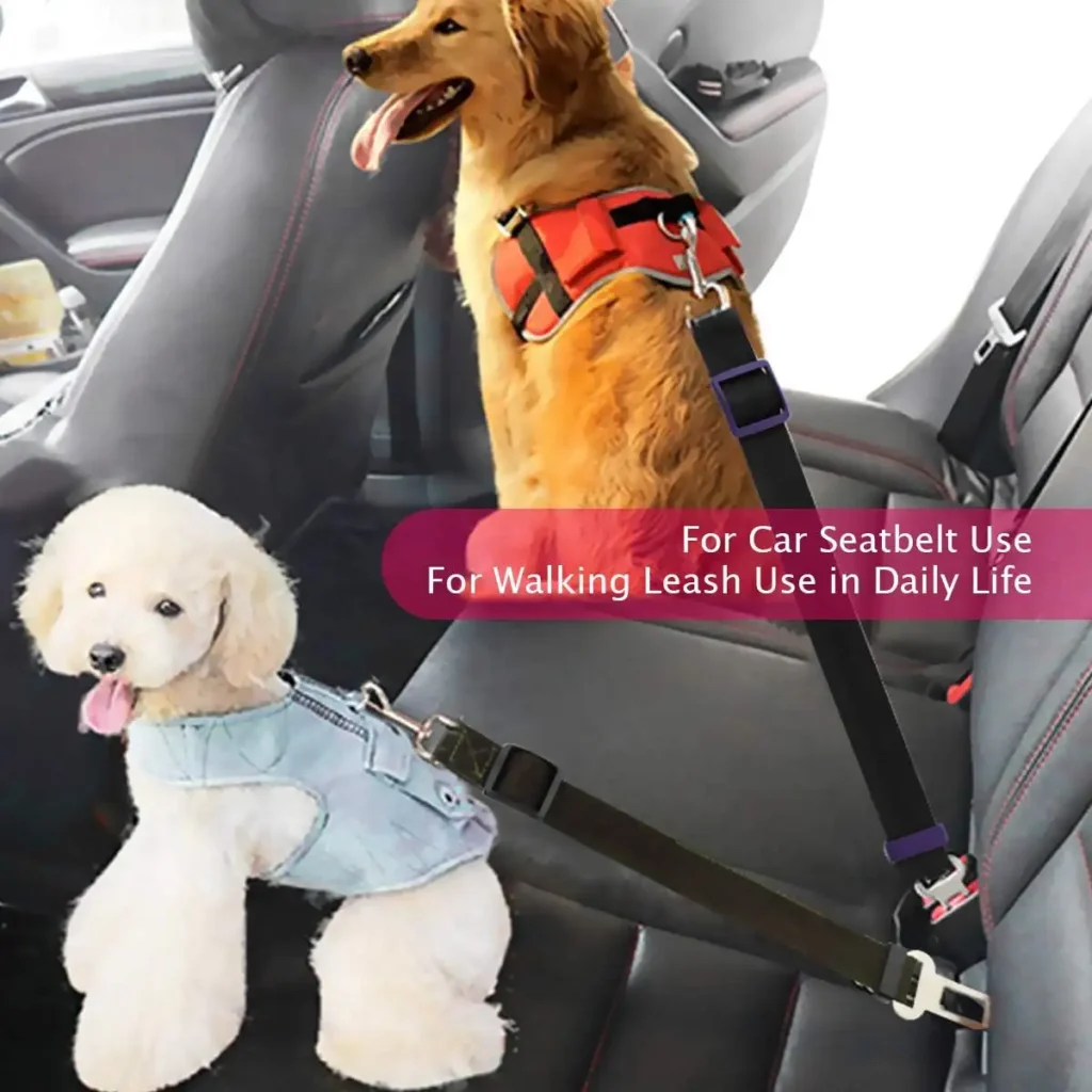 Dog Seatbelt