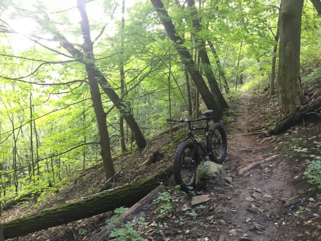 Holzinger Lodge Trails