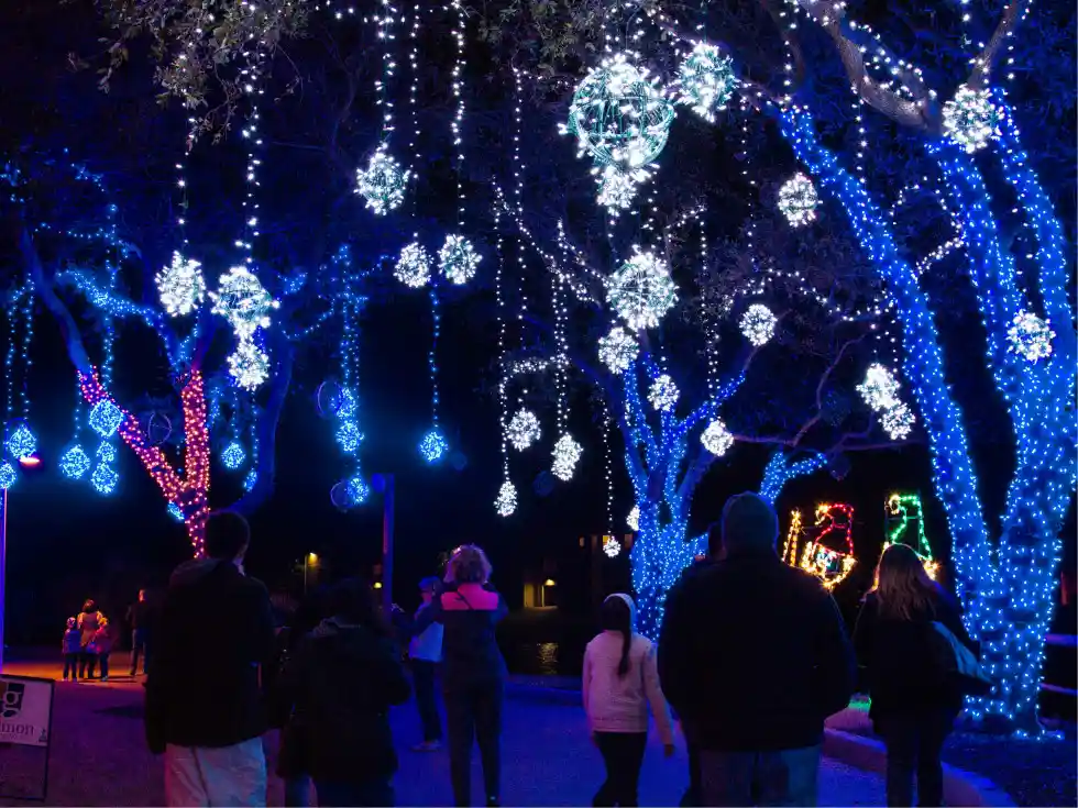 Lighting at Moody Gardens Festival of Lights