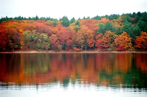 Walden Pond