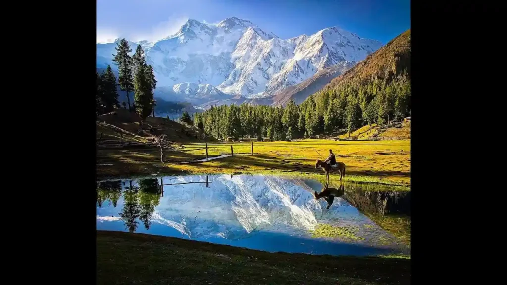 Fairy Meadows