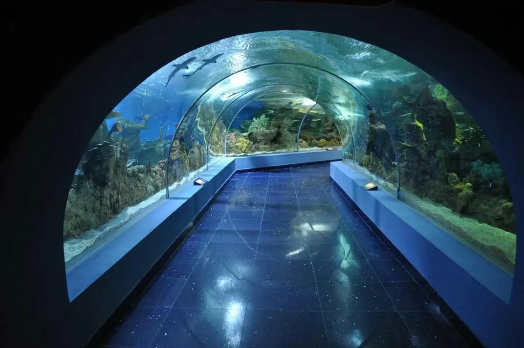 Fakieh Aquarium