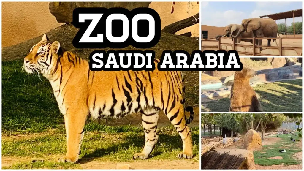 Riyadh Zoo